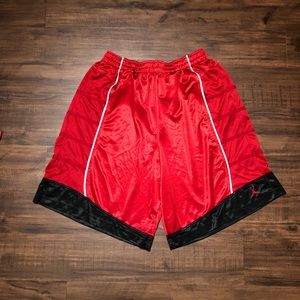 Jordan Retro 11 Shorts